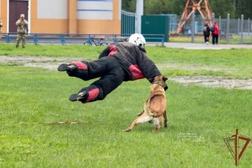 ��������� �� ���������� ��������� ���������� ������ ������ ������ ���������� ���������� � ������� �������