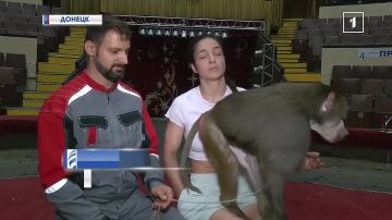 ��������� � ����� � ��������� ��������: ������ ����������� � ��� ������, � �� �������?
