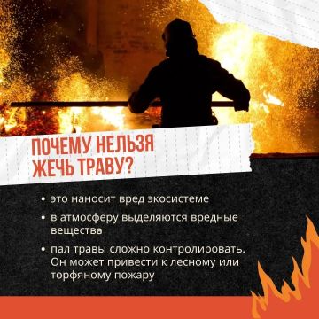 ����� �����: �������, ��� ������ ����� ����� � ������
