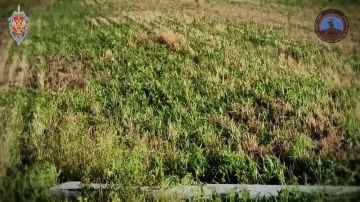�� ������ ������ �������� ������������ 112 ���� ����������