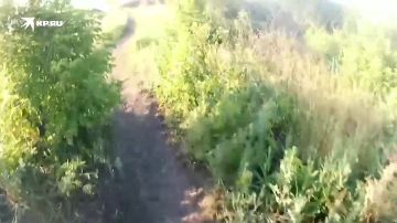 ���� ���� ������ �� ����: ��� ��������� ������� ���������� ���� �� �� ������ ���� ���