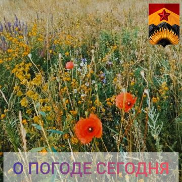 ��������� �����: ������������� ������� � ������ � ���������� ������