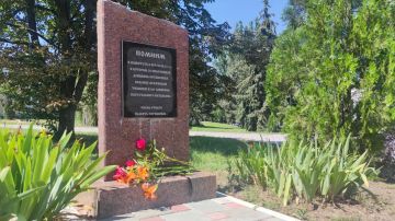 1 июля – День ветеранов боевых действий: Память, Гордость, Благодарность