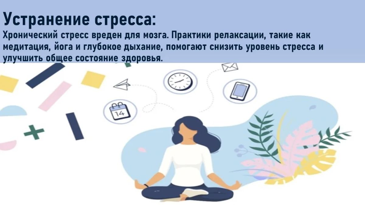 Как сохранить когнитивное здоровье Как сохранить когнитивное здоровье