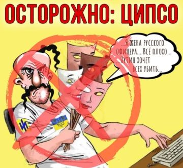 Владислав Шурыгин: Несколько слов об увлечении многих наших каналов цитированием и перепечатыванием псевдоаналитических текстов и статей с украинских ресурсов