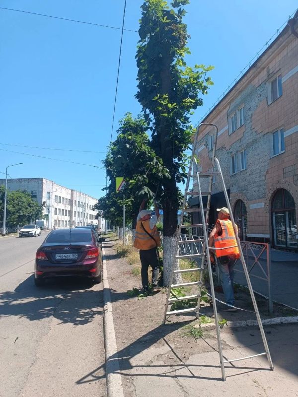 Коммунальные службы Снежного продолжают плановую работу по поддержанию порядка на городских улицах Коммунальные службы Снежного продолжают плановую работу по поддержанию порядка на городских улицах