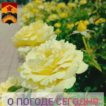 Гидрометцентр сообщил о погоде в Шахтерском округе