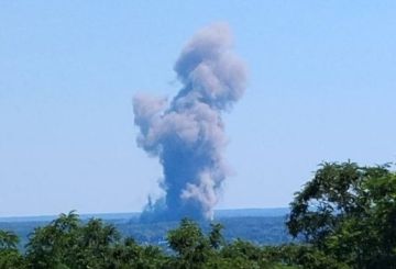 ��� ��� �� ���� ����� 37 ������ ���, ���������� ����� ������������ � ���������
