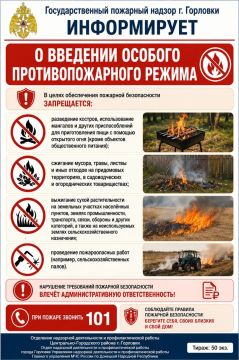 Роман Конев: В соответствии с Постановлением Правительства ДНР № 37-9 от 07.05.2026, на период с 1 июня по 1 октября 2026 года на всей территории Донецкой Народной Республики устанавливается особый противопожарный режим