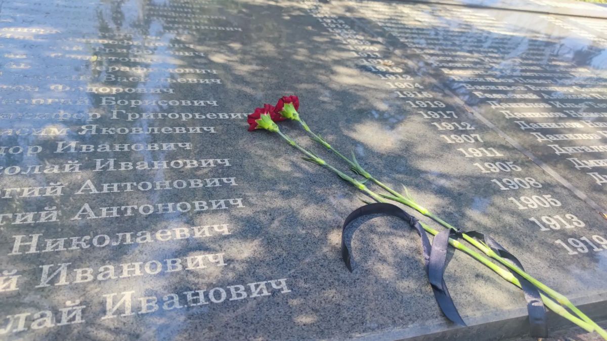 1 июля – День ветеранов боевых действий: Память, Гордость, Благодарность 1 июля – День ветеранов боевых действий: Память, Гордость, Благодарность