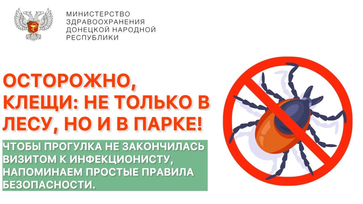 Осторожно, клещи: не только в лесу, но и в парке!
