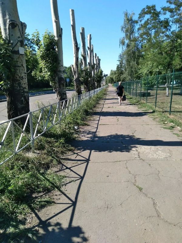 В Снежном продолжаются работы по благоустройству городской среды В Снежном продолжаются работы по благоустройству городской среды