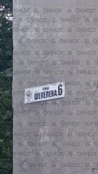 Жители Горловки жалуются на джунгли у дома 6 по ул. Шепелева