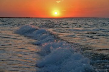� ���� ������ � �������� ���� ��������� ������� ����������� �� ������ �����