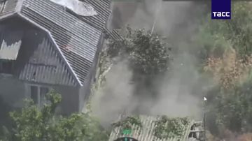 �� �� ���������� ��� ������ ����������� ��� �� ������� �������������� � ���, �������� � ��