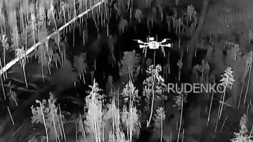 Андрей Руденко: Операторы FPV-перехватчиков войск беспилотных систем группировки «Запад» уничтожили тараном в воздухе несколько БпЛА R-18 ВСУ в районе Красного Лимана