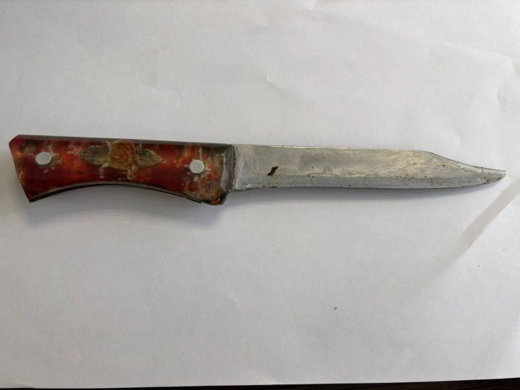 Житель Тореза пырнул своего знакомого ножом во время пьянки и попался полиции