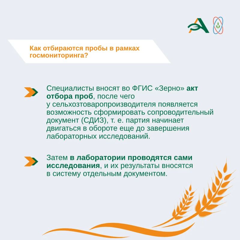 В 2026 году государственный мониторинг зерна проводится в отношении мягкой и твердой пшеницы, выращенной на территории России В 2026 году государственный мониторинг зерна проводится в отношении мягкой и твердой пшеницы, выращенной на территории России