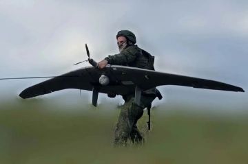 ����� � ������������ ����� ��������