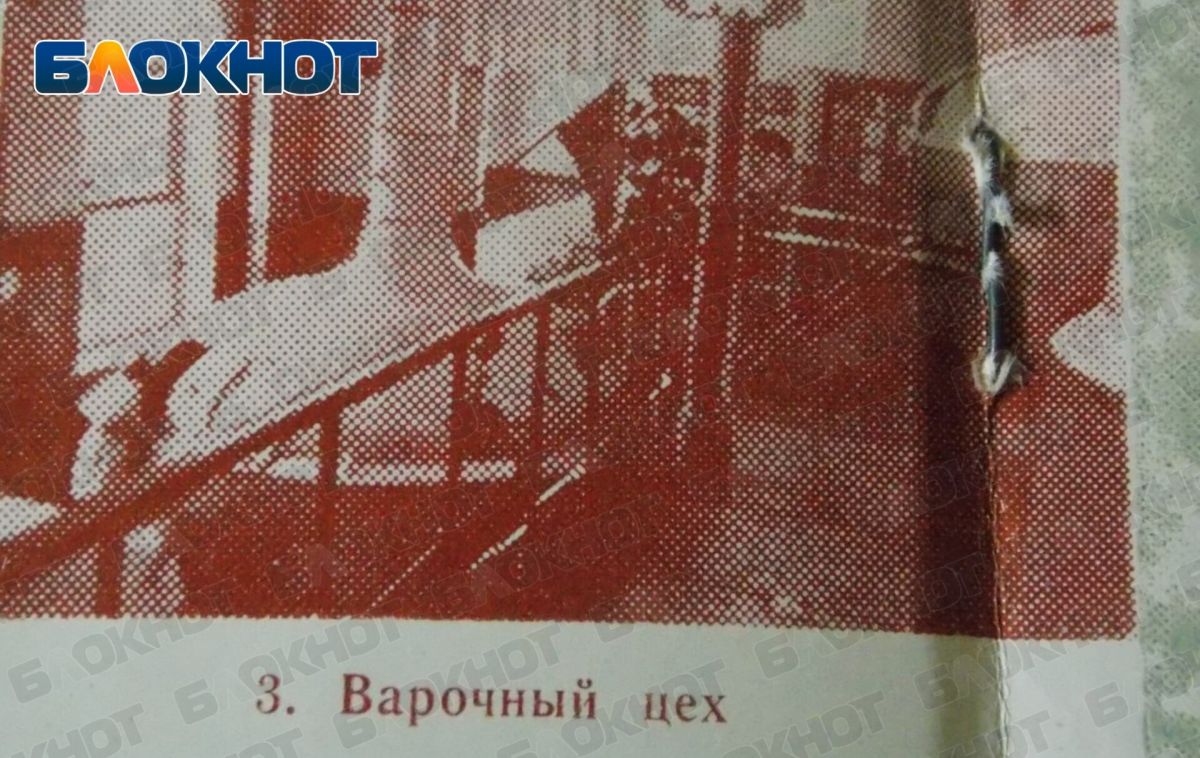 Градусы революции: как донецкое пиво пережило революцию, уксусный бунт и отстояло технологии в 1920-е годы Градусы революции: как донецкое пиво пережило революцию, уксусный бунт и отстояло технологии в 1920-е годы