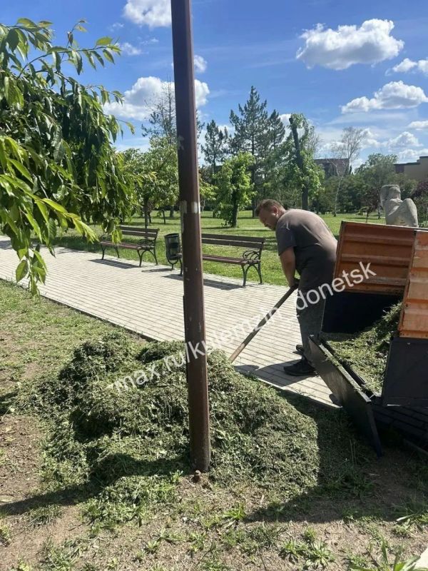 Команда Дирекции парков продолжает работать над благоустройством зелёных пространств города Команда Дирекции парков продолжает работать над благоустройством зелёных пространств города