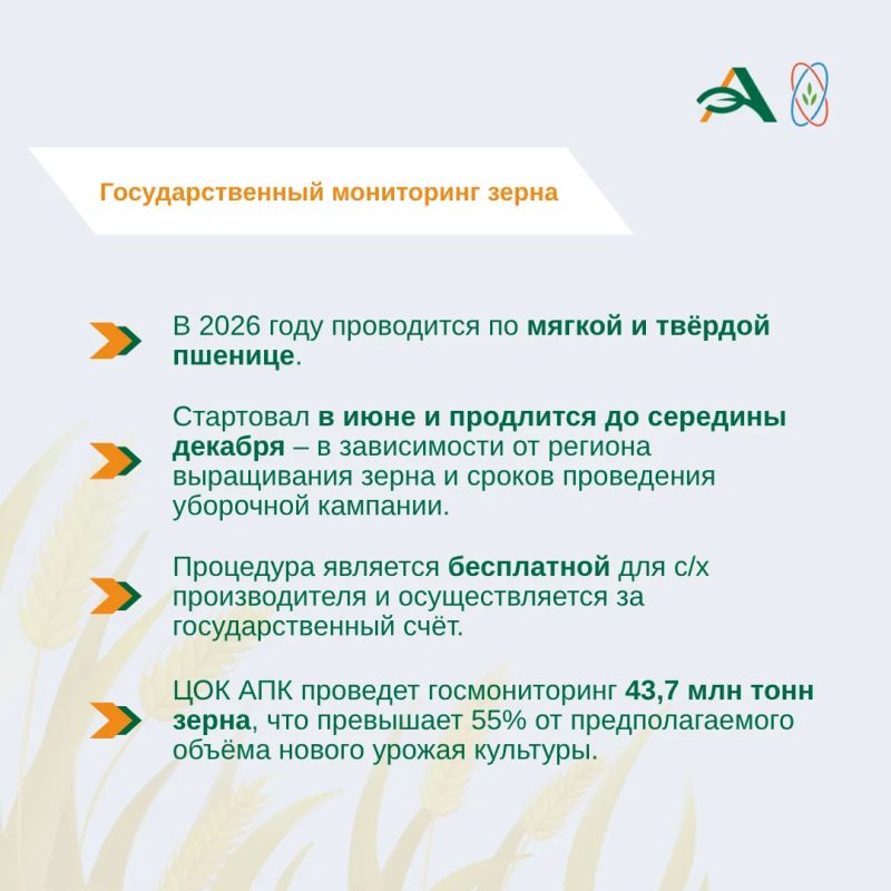 В 2026 году государственный мониторинг зерна проводится в отношении мягкой и твердой пшеницы, выращенной на территории России В 2026 году государственный мониторинг зерна проводится в отношении мягкой и твердой пшеницы, выращенной на территории России