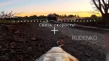 Андрей Руденко: Добропольское направление. Расчеты войск беспилотных систем 61-й гвардейской бригады морской пехоты группировки «Центр» уничтожили бронированную машину, гексакоптер и живую силу ВСУ