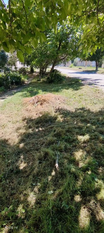 Оперативная сводка по благоустройству Амвросиевского округа за 02.07.2026 Оперативная сводка по благоустройству Амвросиевского округа за 02.07.2026