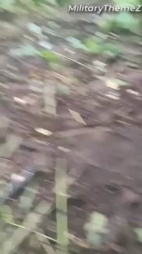 �������� ��������� �������������� � ����� � ���������-���������
