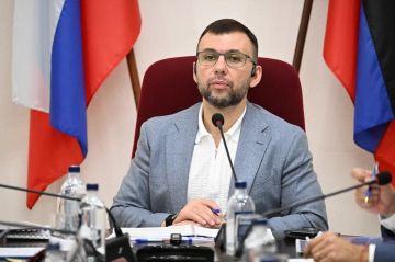 Денис Шимановский: Более 5 000 красных клёнов планируем высадить в этом году в память о погибших жителях Донбасса