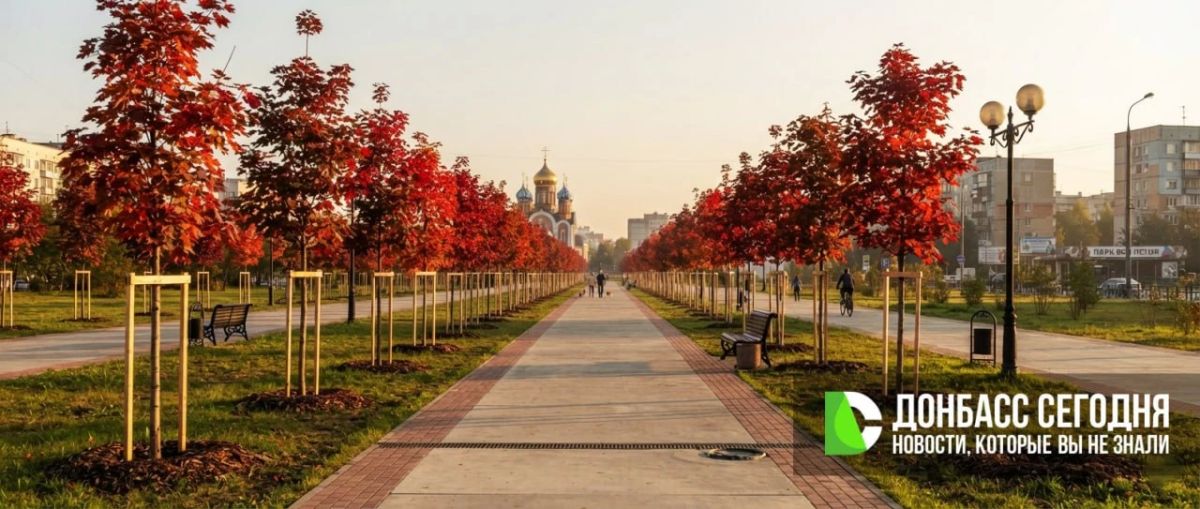 В ДНР стартовал проект «Красный клён»: более 5000 деревьев высадят в память о погибших мирных жителях