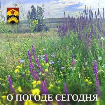 Гидрометцентр сообщил о погоде в Шахтерском округе