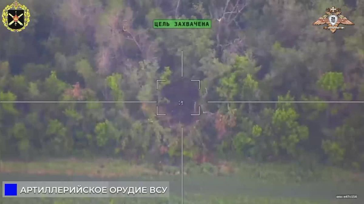 «Беркут» уничтожает гаубицу Д-30 ВСУ под Николайпольем