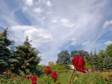 Желаем всем продуктивной рабочей недели и хорошего дня!
