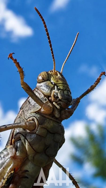 Бу! Не бойся, я друг, я тебя не обижу Бу! Не бойся, я друг, я тебя не обижу