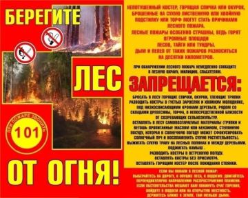 Берегите лес!. #ГОиЧС Официальный сайт администрации