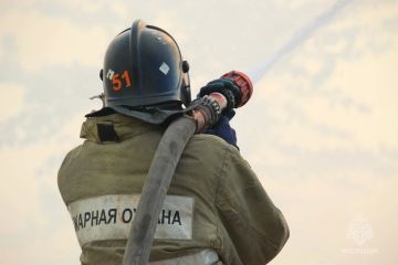 #МЧСДНР_СВОД за сутки. Ликвидировано 23 пожара, из них ландшафтных — 10. 1 раз оказывалась помощь населению