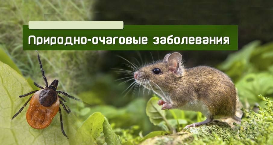 Сегодня, 06 июля, провёл приём граждан города Моспино Сегодня, 06 июля, провёл приём граждан города Моспино