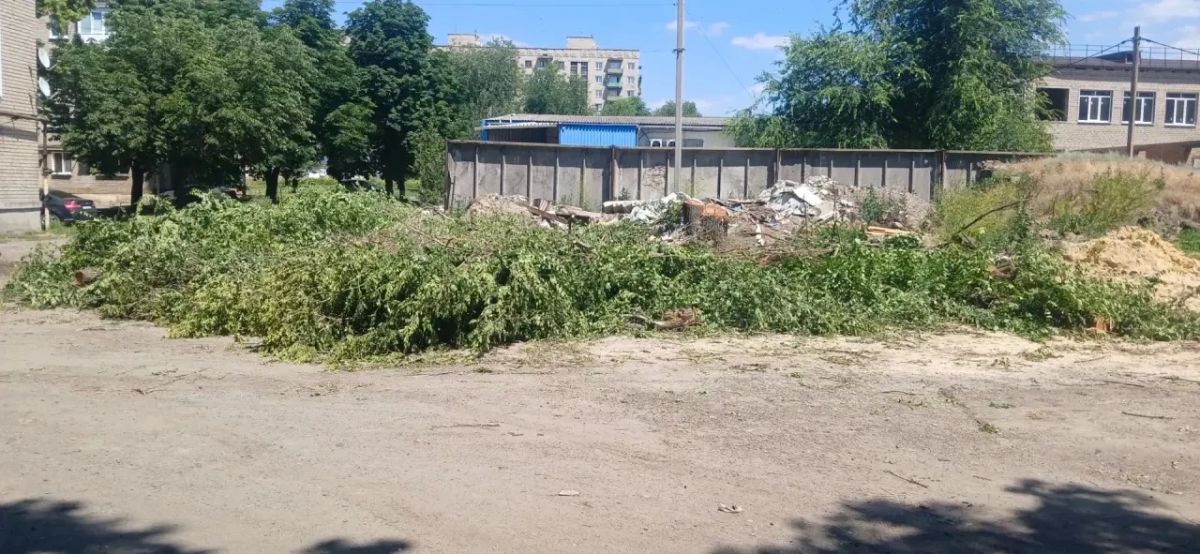 Денис Зубов: Силами МБУ БИОН произведены работы по кронированию аварийных деревьев по пер Денис Зубов: Силами МБУ БИОН произведены работы по кронированию аварийных деревьев по пер