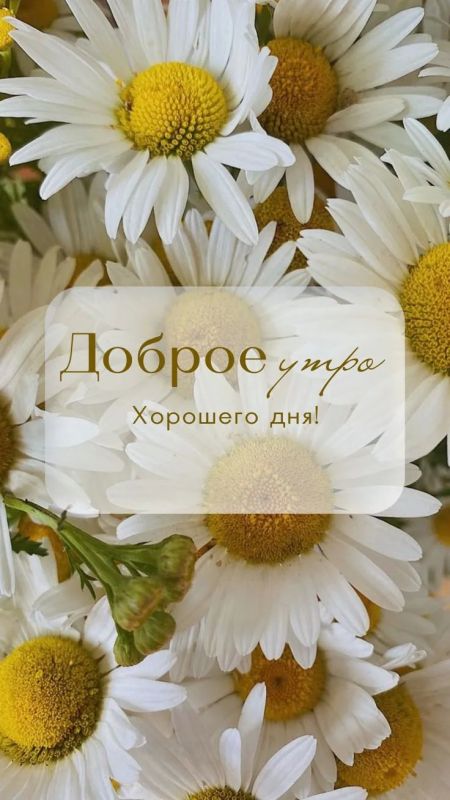 #доброе_утро
