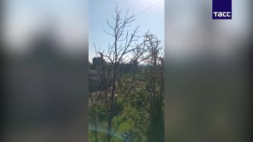 Штурмовики ВС РФ, освобождавшие Константиновку ДНР, записали видео в городе