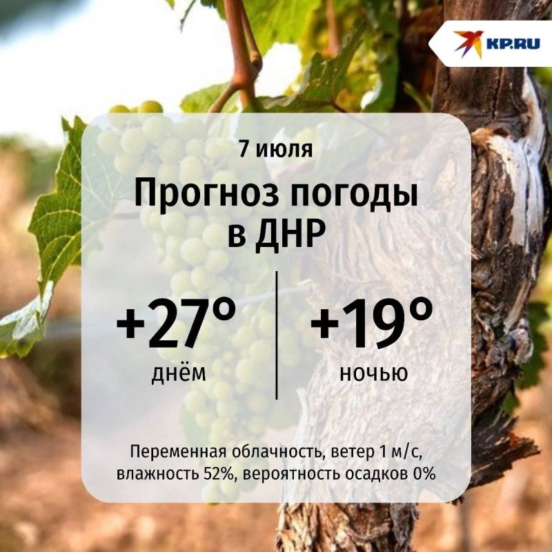 ДНР во вторник ждет слегка облачный день, согретый солнцем