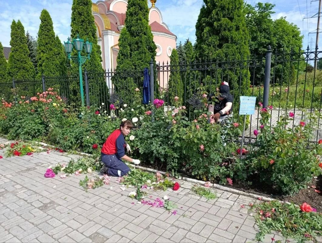 Трудовой десант на Макеевкоксе Трудовой десант на Макеевкоксе