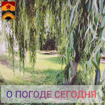 ��������� �����: ������������� ������� � ������ � ���������� ������