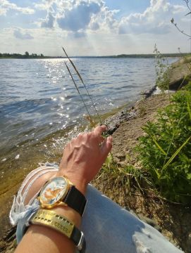 ��������� �������: �������� �������V�:. ������