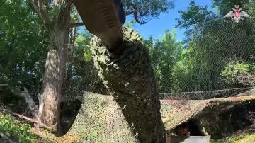 ���������� ������: ������ ��� �����-ѻ 74-� ��������� �������������� ������� ����������� ����� ������ ��������� ����� ���������� ���� ���������� �� ������������� �����������