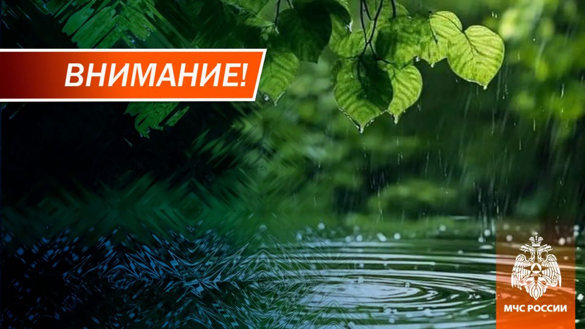 Небольшой дождь в ДНР, по акватории Азовского моря кратковременный дождь, гроза, порывы ветра до 14 м/с ожидаются 9 июля