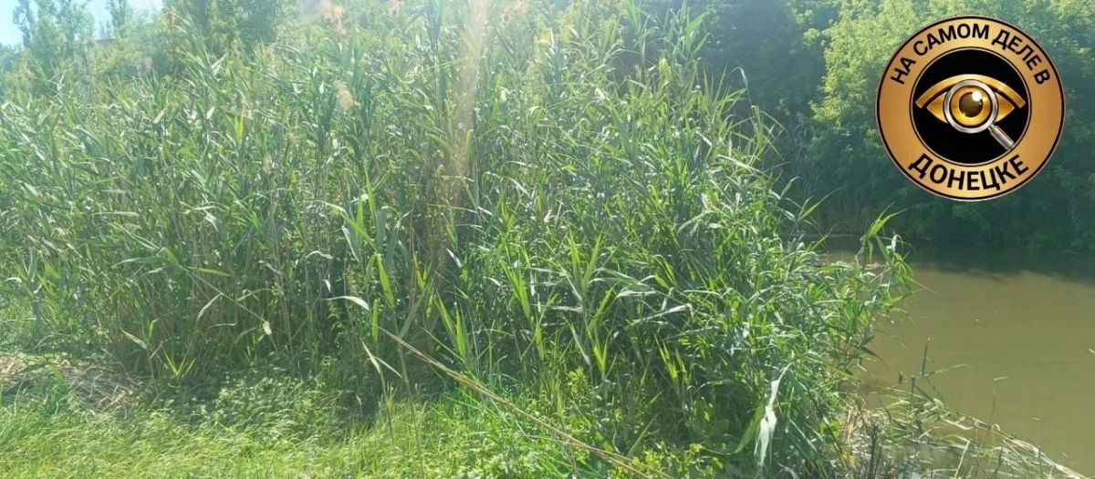 В ДНР приступили к расчистке русла реки Кальмиус В ДНР приступили к расчистке русла реки Кальмиус