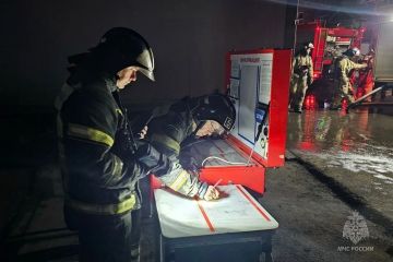 ��� �� ����� ������������� 44 ������, � ��� ����� 22 - �����������