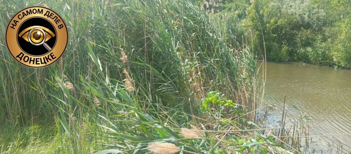 В ДНР приступили к расчистке русла реки Кальмиус В ДНР приступили к расчистке русла реки Кальмиус